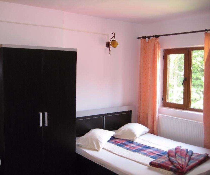 View Lac Vidraru, pretabil pensiune, 30 camere, vad turistic permanent - Poză 7