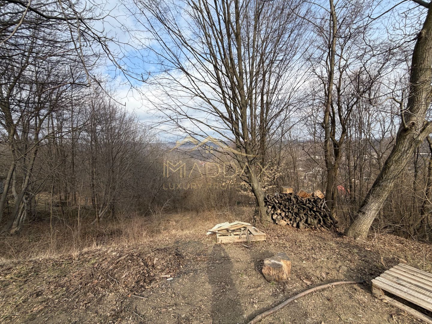 Teren *3895mp* - P+2 / Studiu Geo // Breaza - Prahova - Poză 6