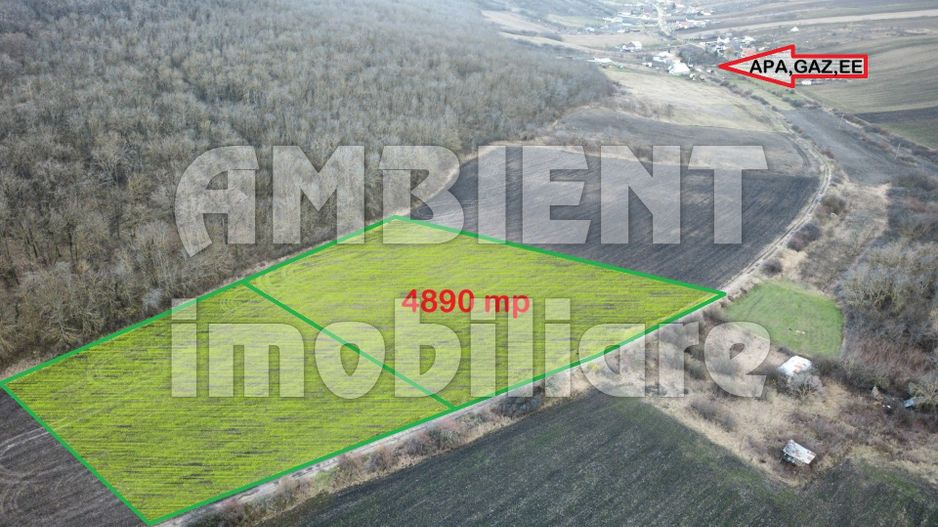 Teren intravilan 5.000 mp, VASLUI zona GURA BUSTEI; - Poză 1