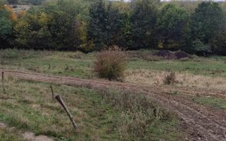 VIla Teisani si 11250 mp teren - Poză 7