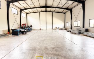 Hala industrială închirere – Vladimirescu, jud. Arad 500 mp - Poză 5
