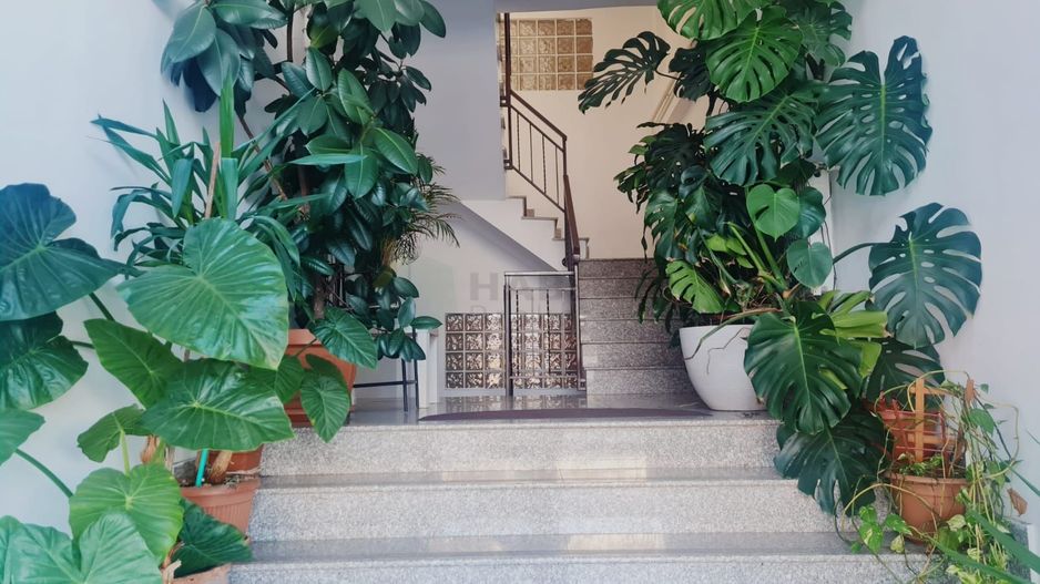 Apartament 3 camere Jiului + 4 locuri parcare - Poză 10