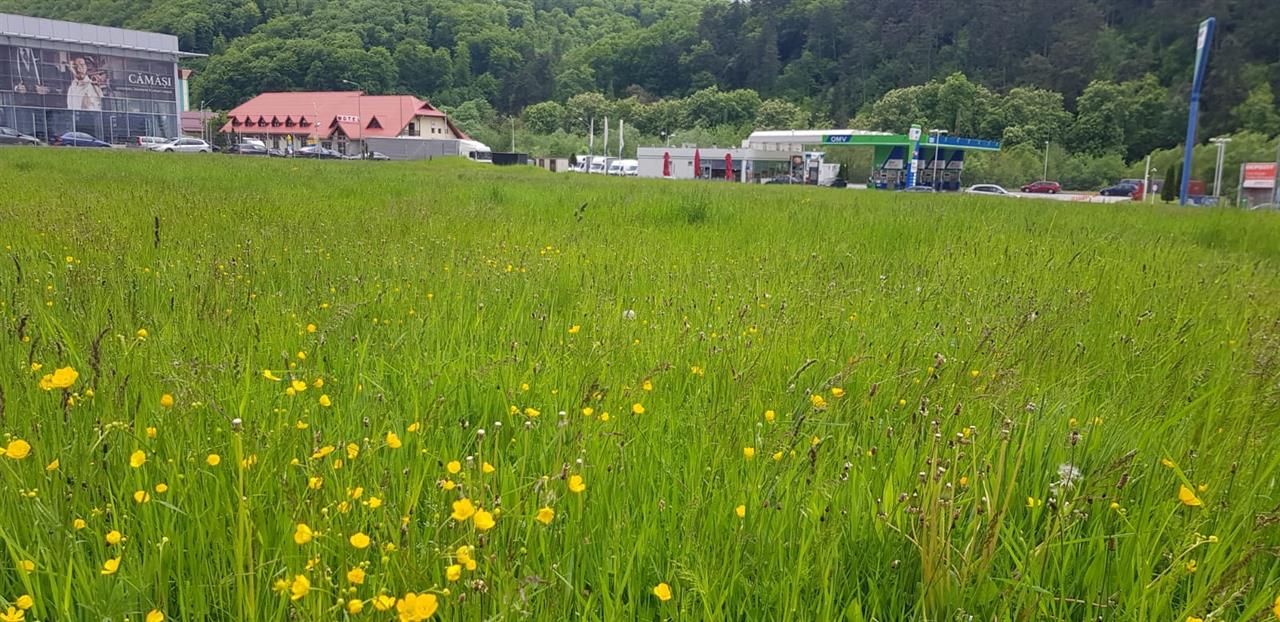 In evantaiul padurii, 750mp teren - Poză 5