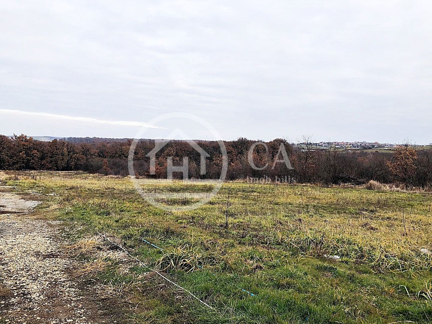 Teren intravilan de vânzare in Saldabagiu de Munte, Oradea - Poză 1