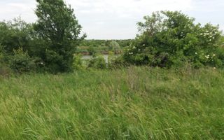 Teren Buftea cu iesire la lac - Poză 24