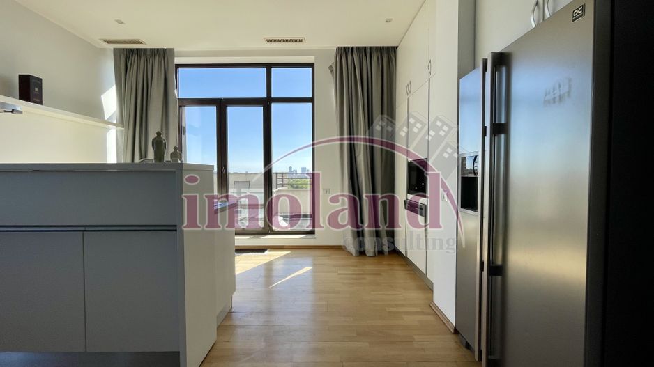 Închiriere Penthouse - 250 mp utili + 320 mp terasă panoramică | Iancu Nicolae - Poză 4