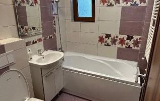 Închiriez Ap..2 camere Podu Roș, Aleea Rozelor et.1 - Poză 15