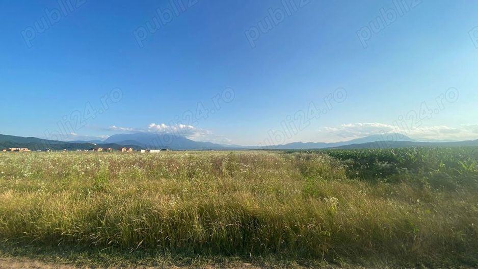 Vand teren 641 mp Cristian - Poză 5