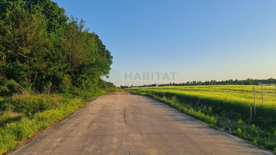 Teren | Poiana Ciolpani | Iris Orangerie - Poză 6