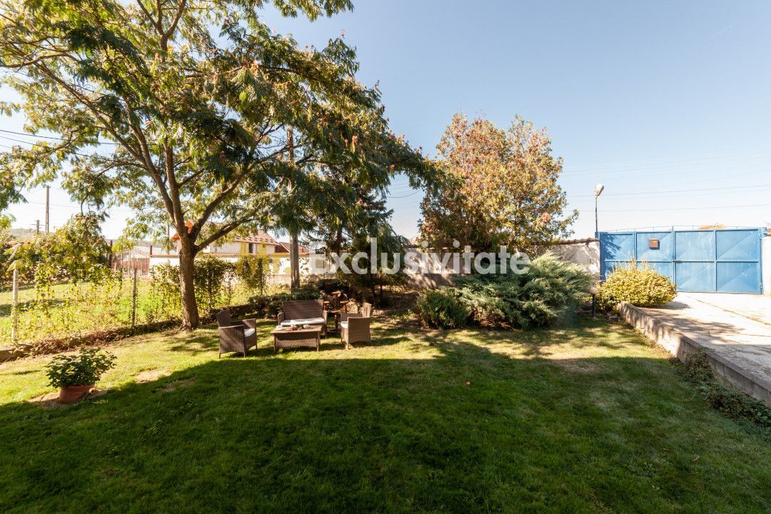 Casa visurilor cu livada roditoare si gradina amenajata - Poză 11