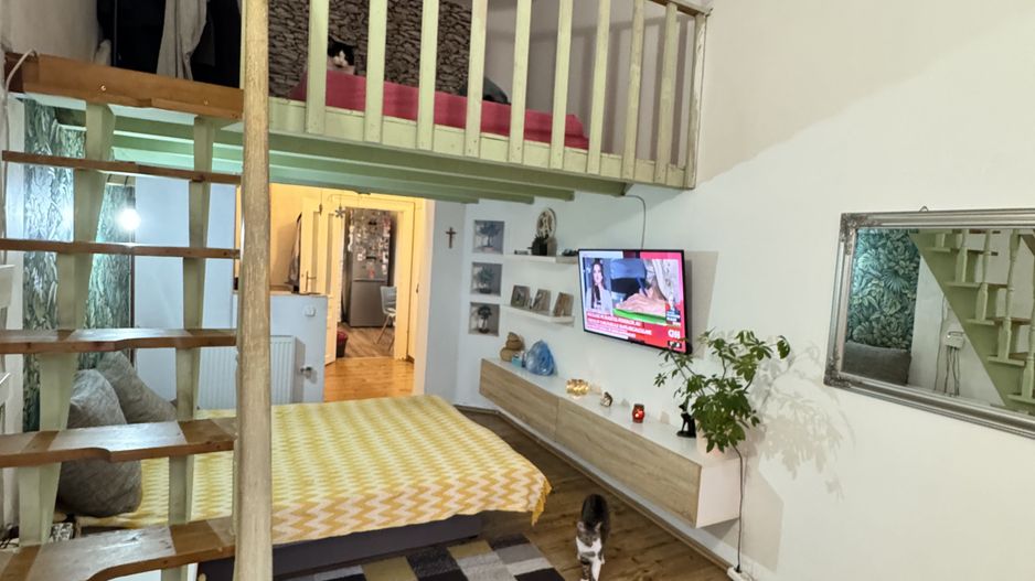 Casa Ultracentrala în Oradea, pe malul Crișului Repede - Poză 9