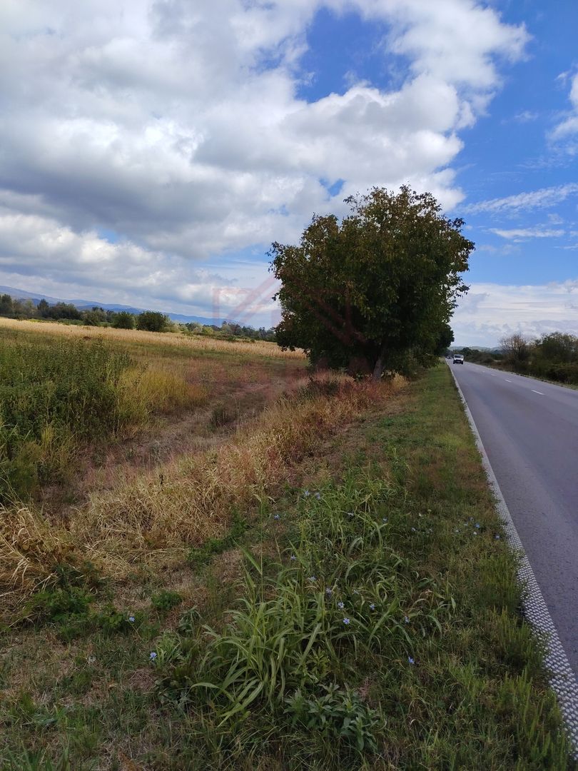 TEREN EXTRAVILAN\ 3678 MP\ OBREJA  JUD. CARAȘ- SEVERIN - Poză 4