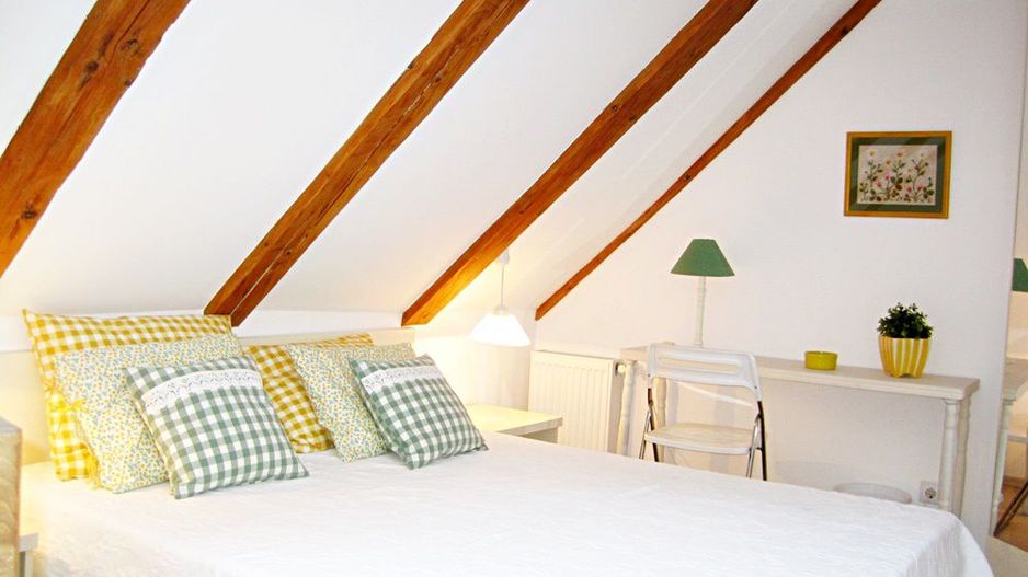 Centrul Vechi, str Muresenilor doua unitati locative, 115000 euro - Poză 1