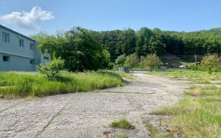 Hala de inchiriat in mun. Brad, disponibila imediat - Poză 3