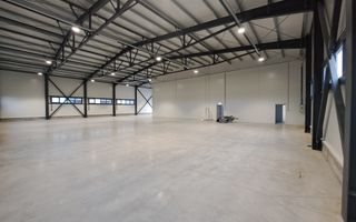 COM 0% Hale servicii, birouri și depozitare de inchiriat  | Aeroport - Poză 3