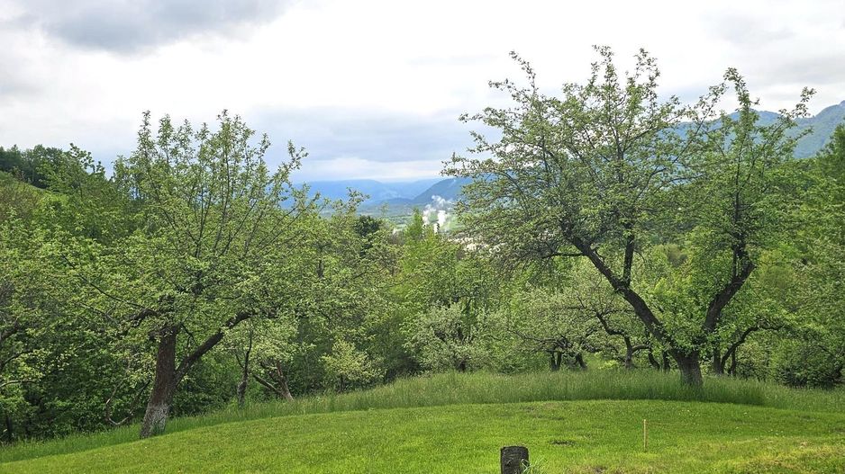 Domeniu Premium 1.7 Ha Intravilan Zărnești | Lizieră Pădure | Ideal Resort - Poză 8