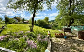 2 Case + teren 1390 mp langa parcul central Provita de Sus - Poză 22
