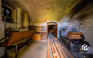 Vila Conac boieresc contelui Fabia 1920 de vânzare Păuliș Arad 2,4 ha - Poză 13