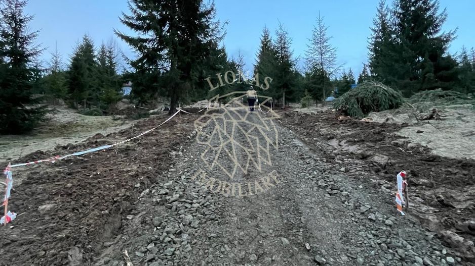 Teren intravilan 1074 mp cu utilitati-ideal pensiune, cabane-Colibita - Poză 3