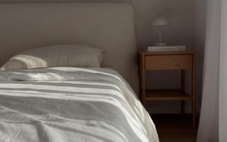 Apartament Jandarmeriei | Stejarii (The Ivy) - Poză 11