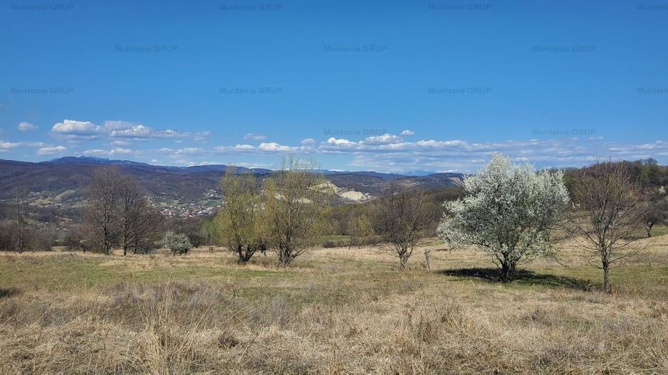 Ocazie ! OCNELE MARI - Sorat, 17,83 Ha. cu pozitie exceptionala - Poză 3