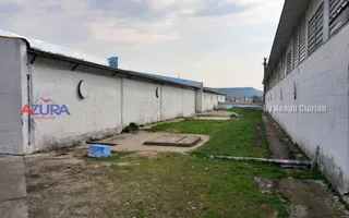COMISION 0% - HALE Calinesti Arges - Poză 45