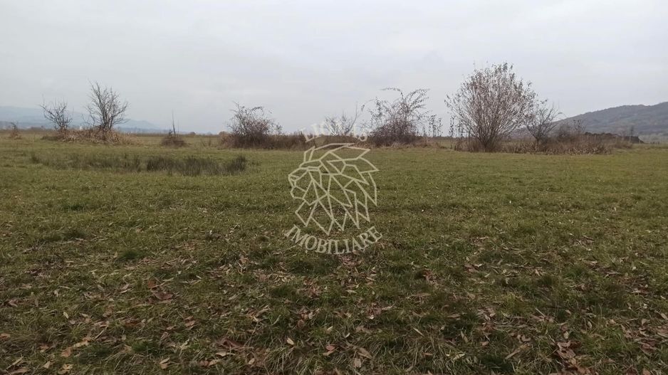 Teren 19611 mp (1,96 Ha)-ideal agricultura, investitie-Zona Aerodrom - Poză 2