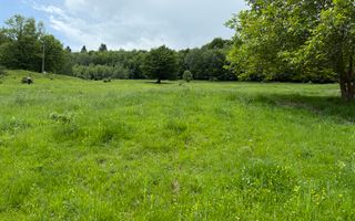 Teren de vânzare – Glejerie Râșnov (comuna Bran) | PUZ aprobat - Poză 6