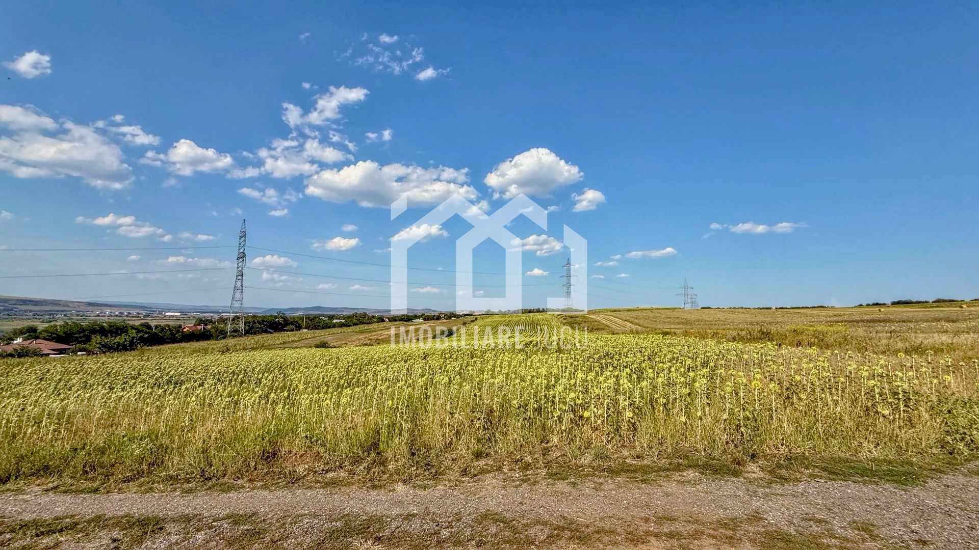 Oportunitate de investiție și dezvoltare – 11.600 mp | Jucu de Sus - Poză 5