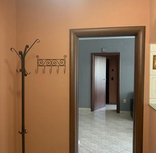 APARTAMENT SPATIOS | GORJULUI - Poză 8