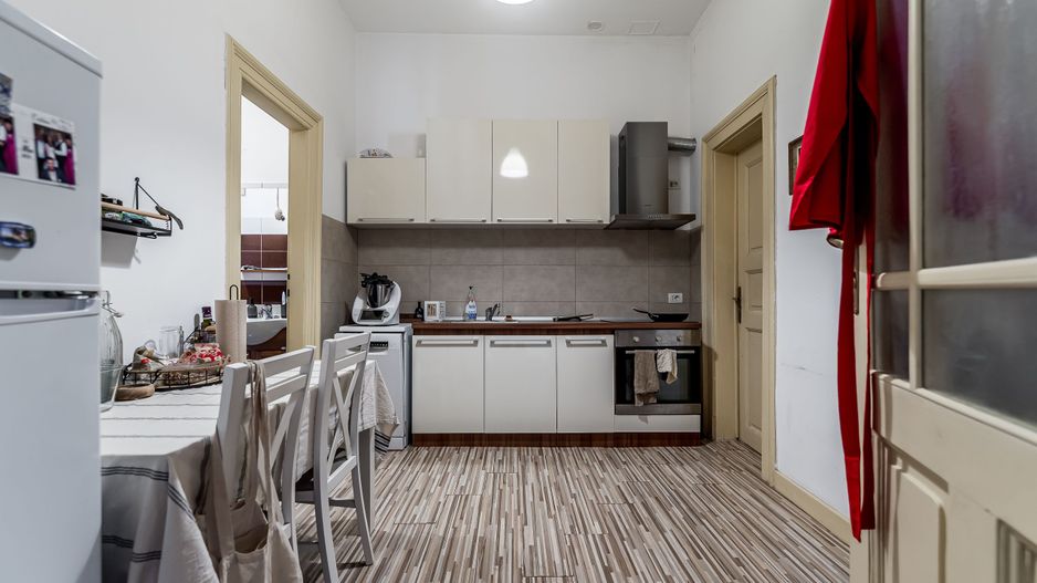 3 camere în Palatul Gemeinhardt, pe malul Begăi | Timișoara - Poză 6