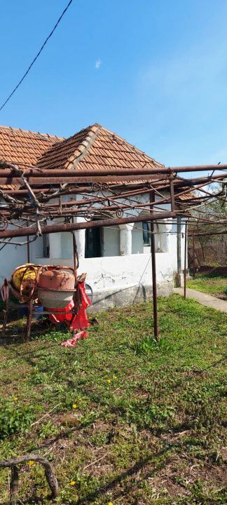 Casă cu hală industrială Drăguțești - Poză 4