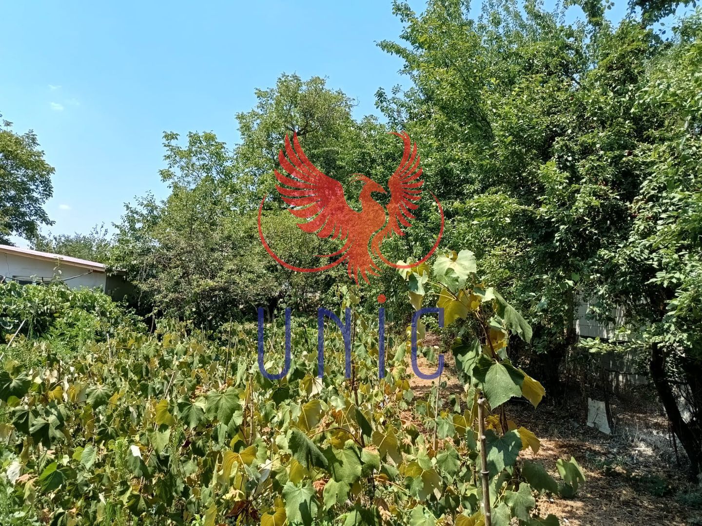 Teren Drumul Muntenilor, 980 mp, 2 deschideri - Poză 1