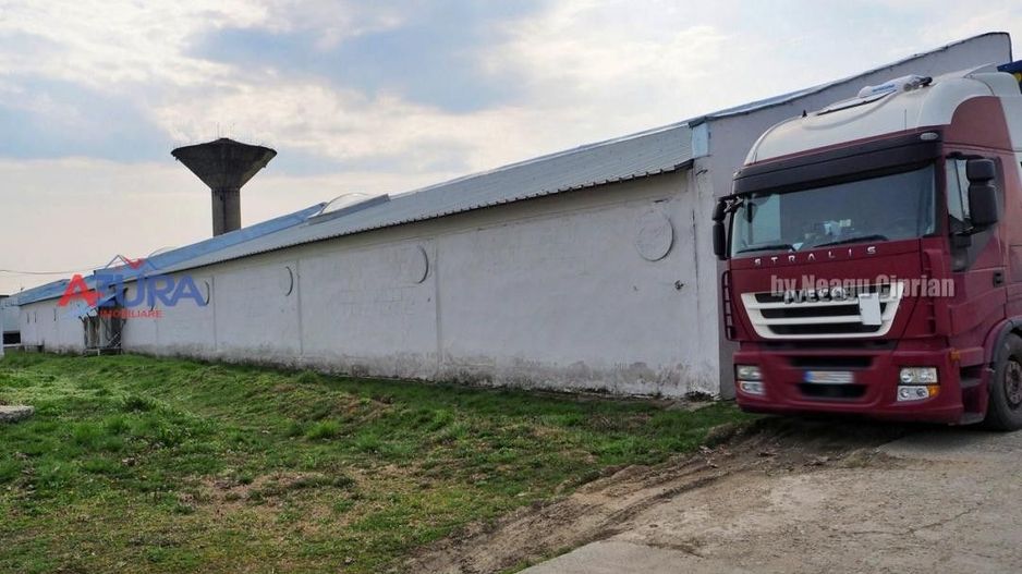 COMISION 0% - HALE Calinesti Arges - Poză 68