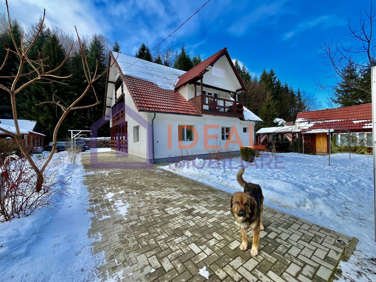 Pensiune de vânzare în Cârțișoara – investiție turistică la poalele munților - Poză 1