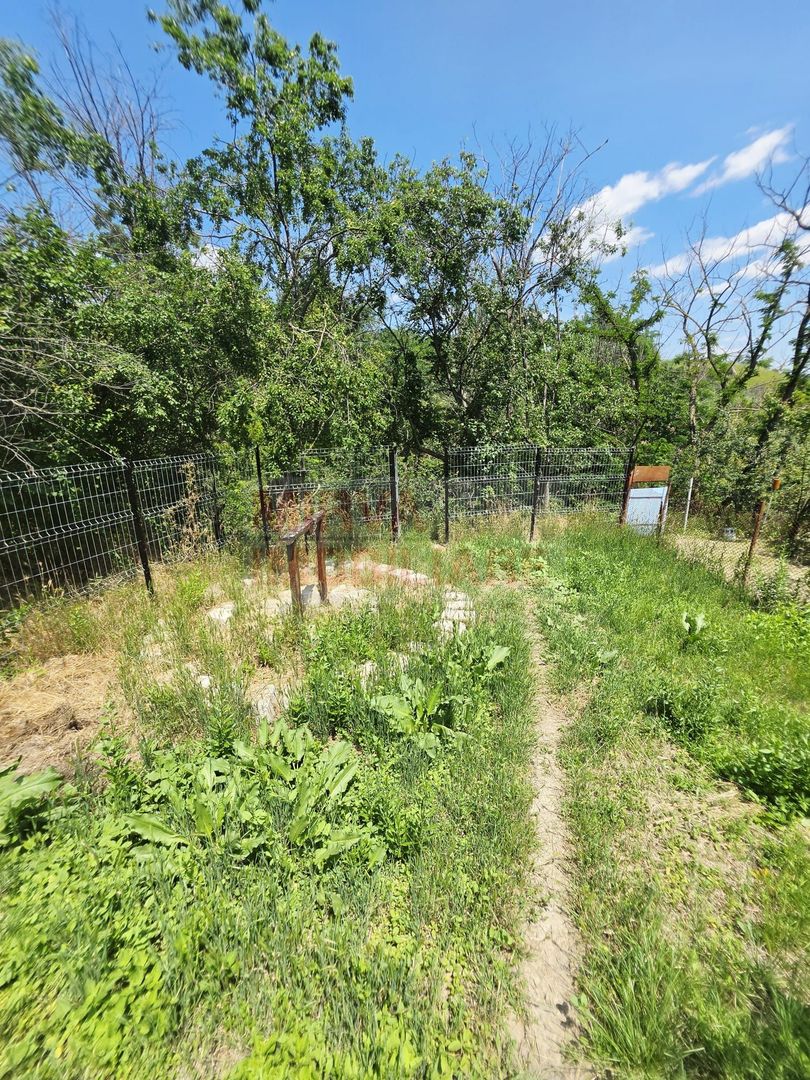 Casa cu teren de 536 mp in Ceptura de Jos - Poză 8