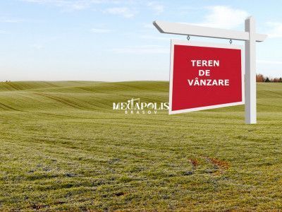 TEREN | INTRAVILAN | CARTIER IZVOR - Poză 2