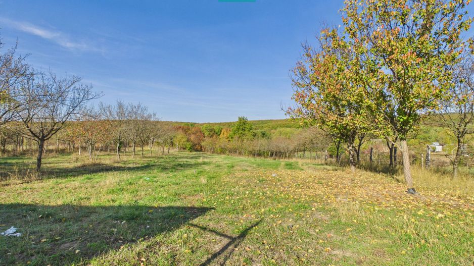 Casă în Șumugiu, teren 2.610 mp - Poză 9
