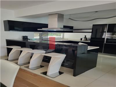 Inchiriere  Vila  Erou  Iancu de Nicolaie - Jolie Ville - Poză 25