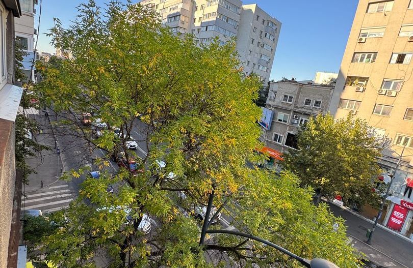 Apartament nemobilat 3 camere Dorobanti M261 - Poză 19