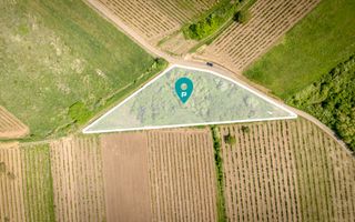 Teren extravilan - 3654 mp Dealul Șiriei - Poză 2