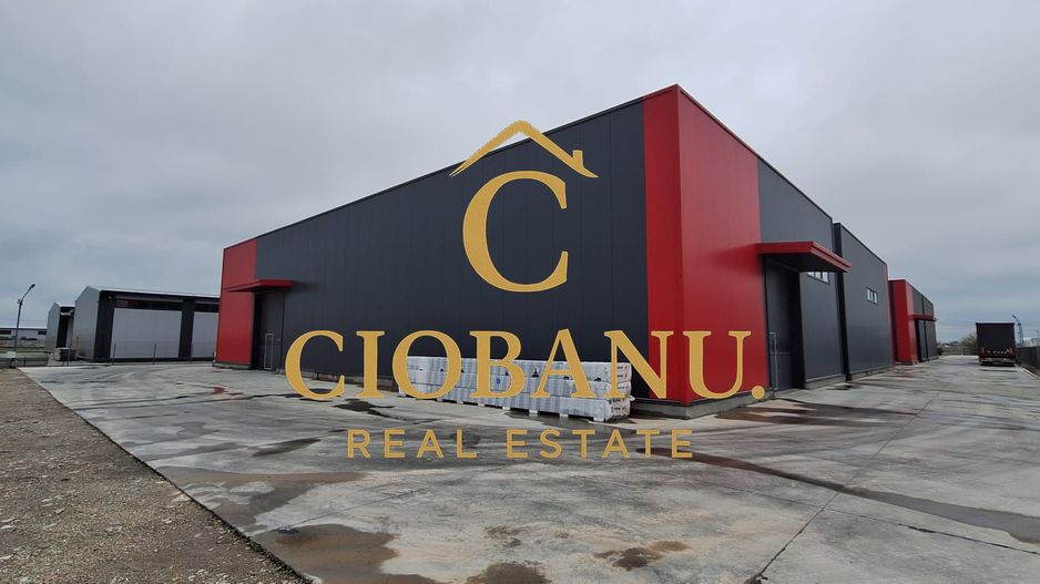 Hale industriale+Cladire de Birouri de inchiriat zona Aeroport - Poză 19