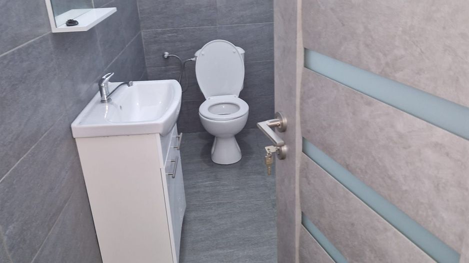 Spatiu Compercial cu vad zona Doamna Stanca-Sibiu - Poză 3