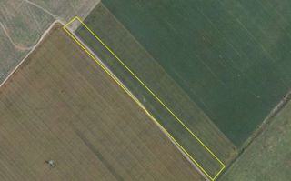 Teren de vânzare – 25.000 mp, Pantelimon, între cele două centuri ale Capitalei - Poză 1