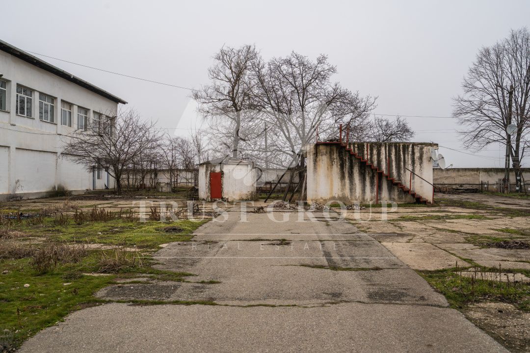 Teren 28.788m + Hale industriale + Sediu Firma - Poză 36
