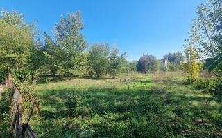 Loturi 500mp Strada Nuferilor-Petrom City - Poză 10