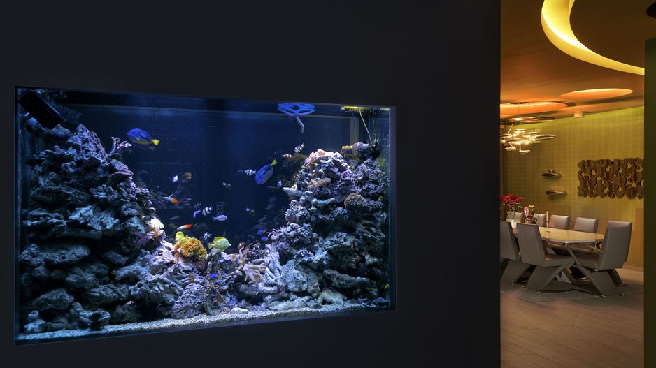 RELAX         REFRESH         REVIVE - Poză 11