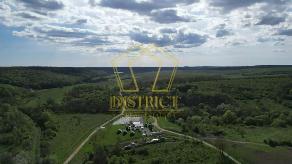 Casa de vacanta cu teren si padure de 3.8ha | Nadas | Herneacova - Poză 11