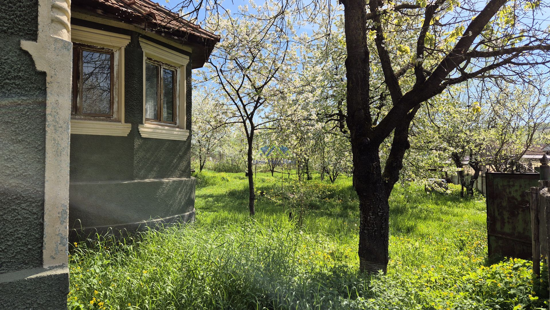 Vand casa 2 camere, 90mp, Silvasul de Jos, teren 1295, deschidere 62m - Poză 3