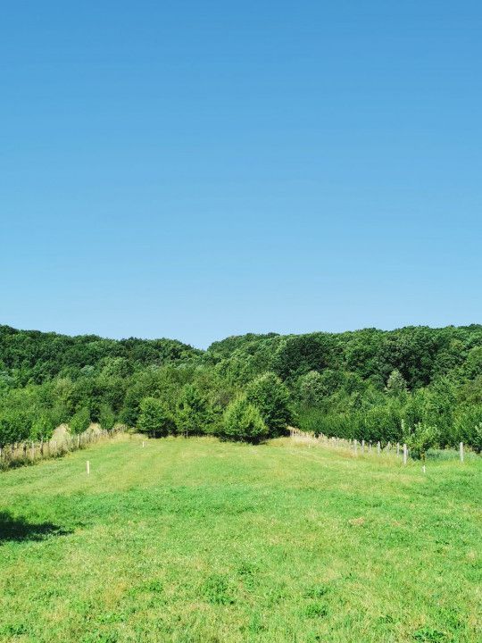 Vanzare teren intravilan, Smeura de Sus - Poză 4